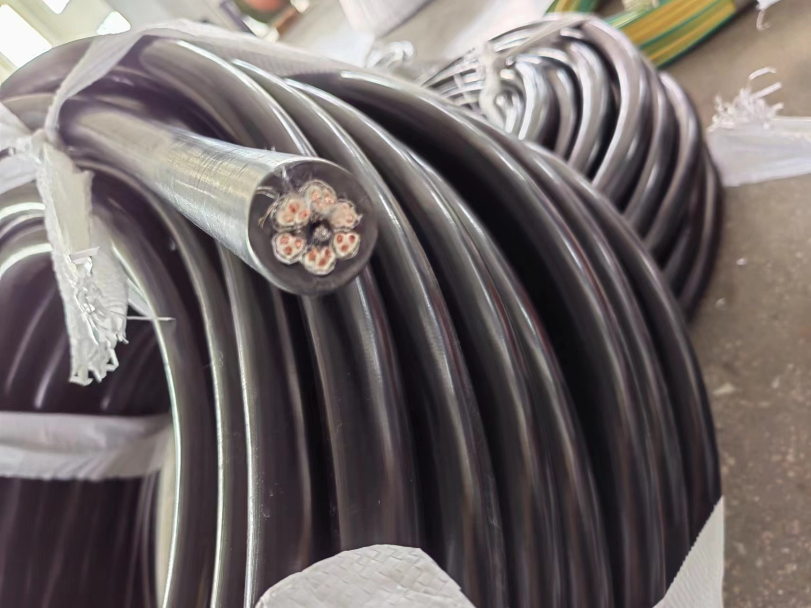 17599711159876.jpg 微信圖片_202402041123184.jpg