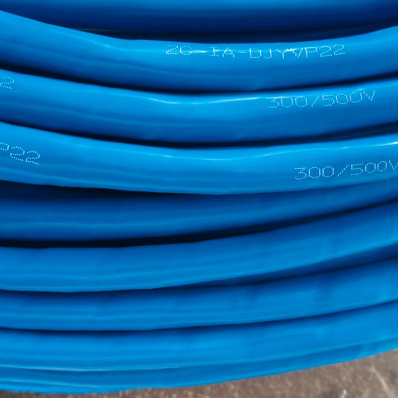 ZC-IA-DJYVP22阻燃計算機電纜